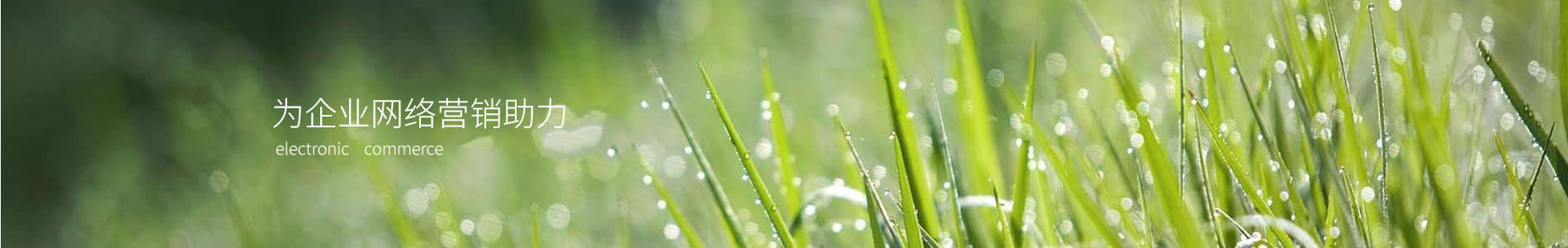 ɹŴŷ½ܿƼ޹˾
